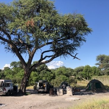 Savuti Campsite