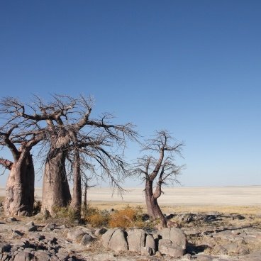Kubu Island Botswana