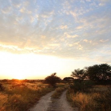 Deception Valley Kalahari Kori Campsite