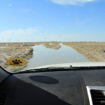 Toyota Hilux Kalahari Woestijn