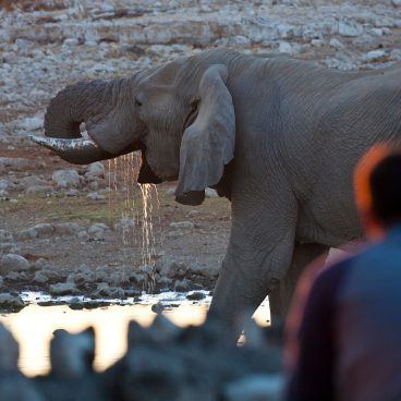 Okaukuejo waterhole