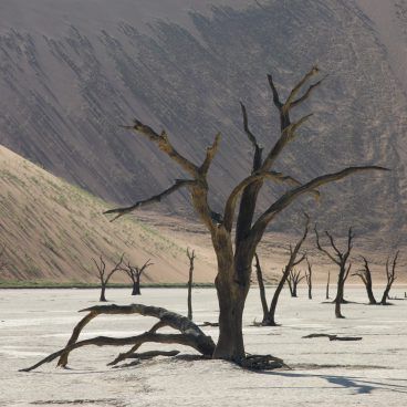 Namibië rondreis Deadvlei