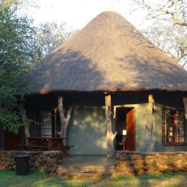 Hlane eSwatini Zuid-Afrika