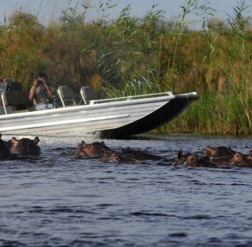 Kwando motorboot
