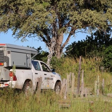 Moremi Game Reserve Bridge