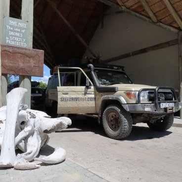 Moremi Game Reserve Selfdrive4x4