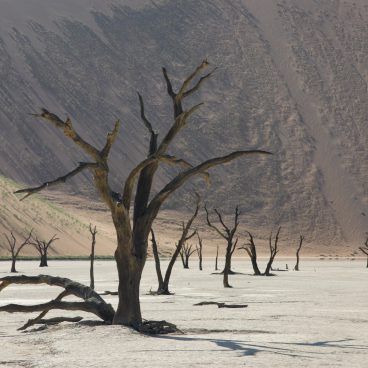 Deadvlei Namibie