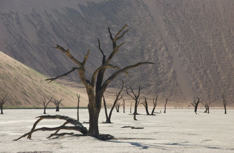 Namibië rondreis 18 dagen