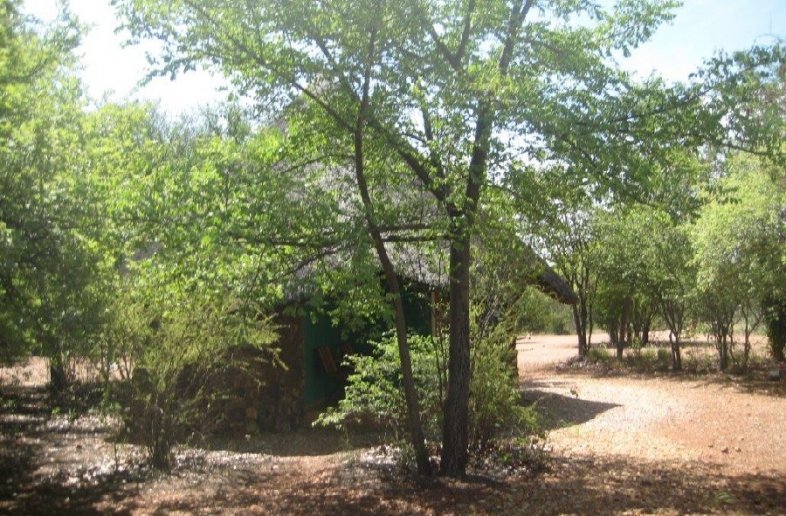 Otjitotongwe Cheetah Guest Farm