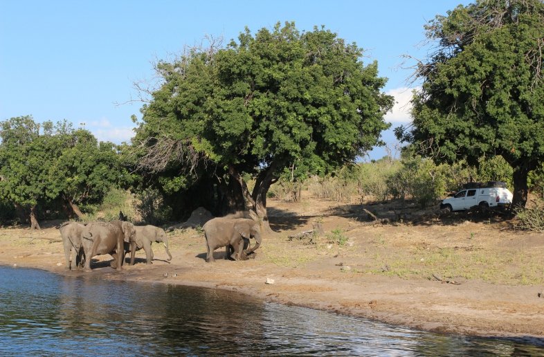 Big Five Chobe Lodge – Campsite