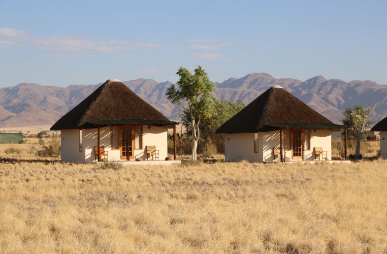 Desert Homestead
