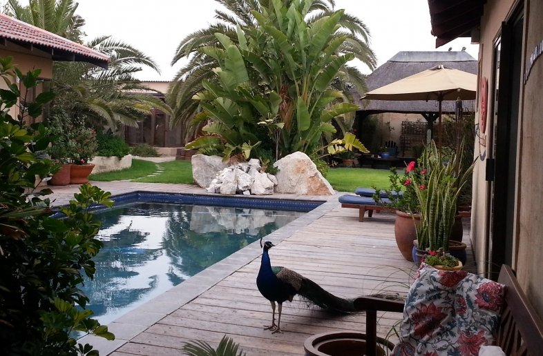 Gecko Ridge Guesthouse