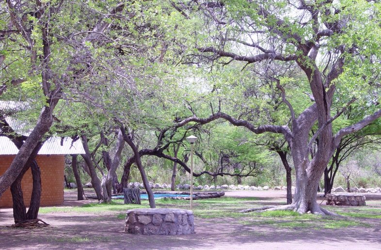Onguma Leadwood Campsite