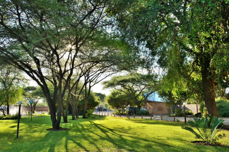 Thebe River Safaris – Lodge