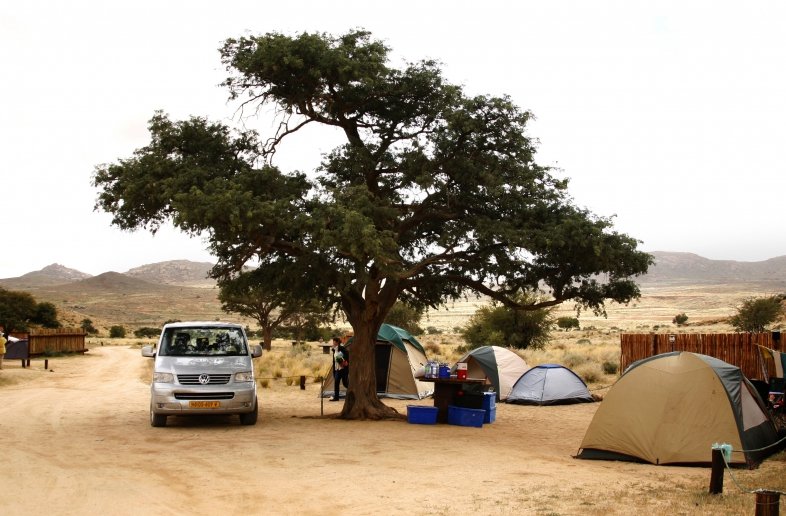Desert Horse Campsite