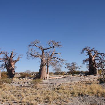 Kubu Island Botswana