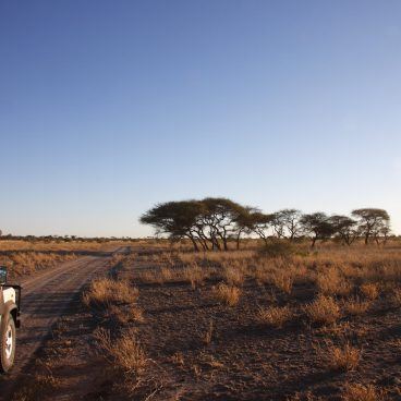 Kalahari