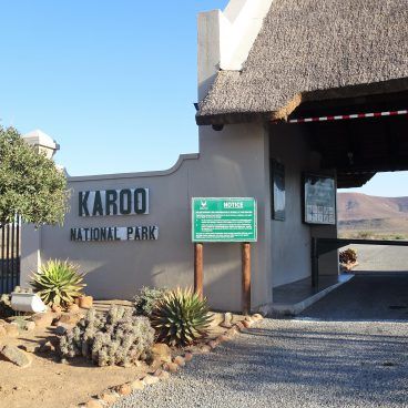 Karoo National Park Zuid-Afrika