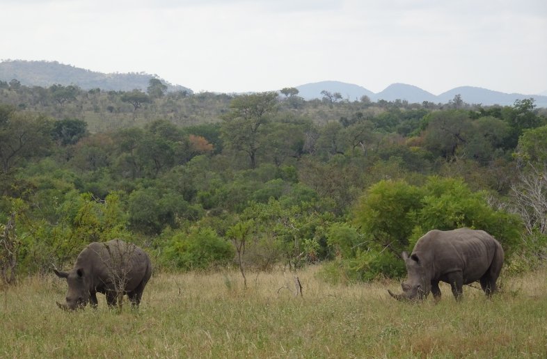 Lower Sabie – Chalet