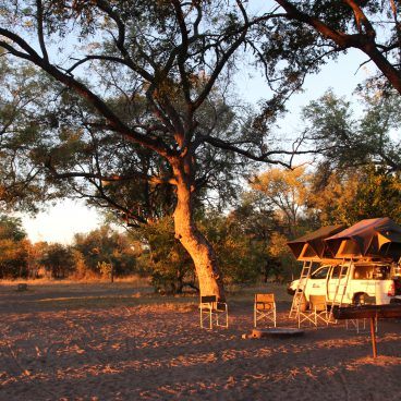 Moremi Game Reserve