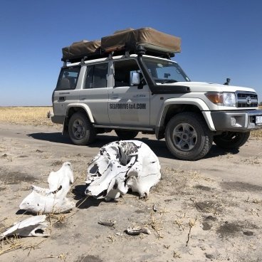 Botswana Landcruiser 4x4