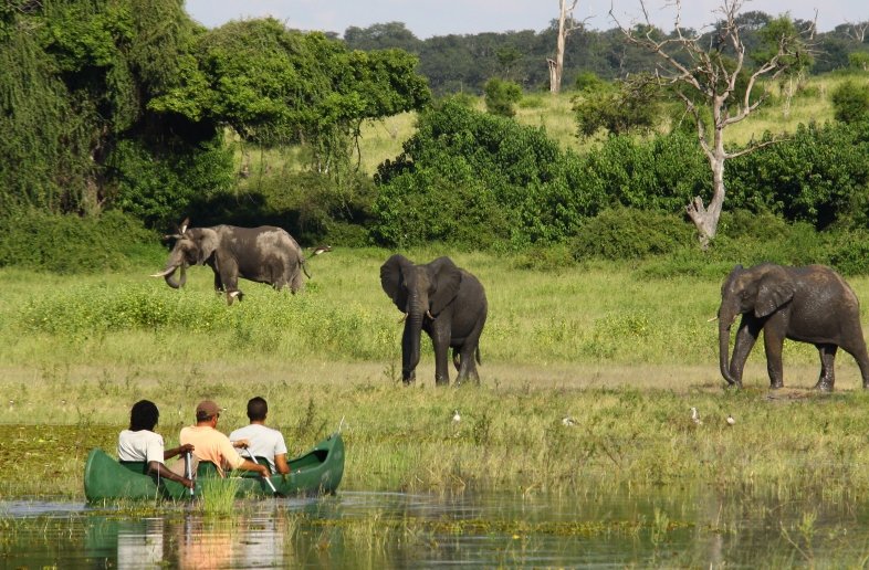 Chobe River Camp
