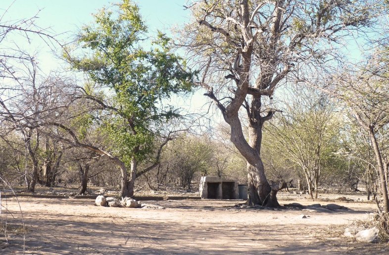 Thakadu Bush Camp