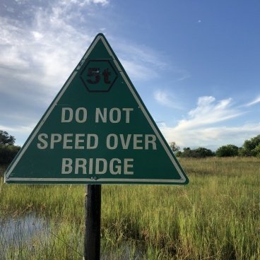 Bridge Moremi