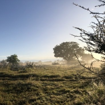 Sunrise Moremi Game Reserve