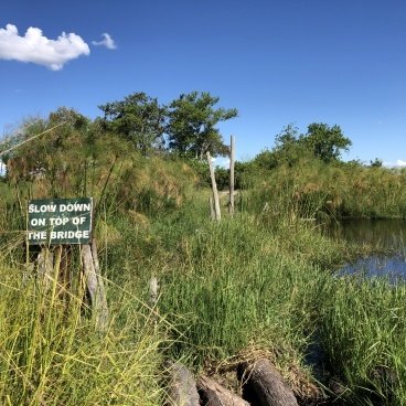 Third Bridge Botswana Reis