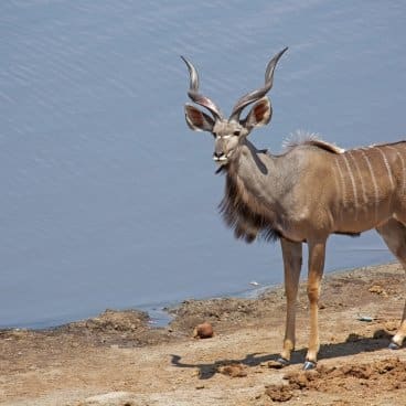 Kudu Masuma Dam
