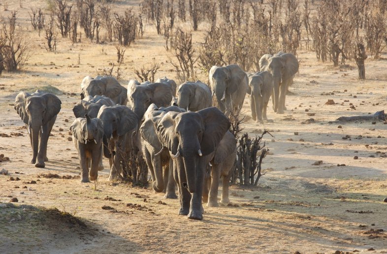 Self drive Zimbabwe