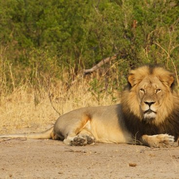 Hwange Ngweshia Pan
