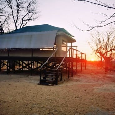 Kapula Camp Hwange