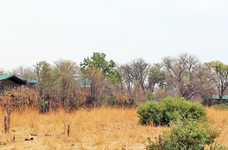 Kapula Camp Hwange