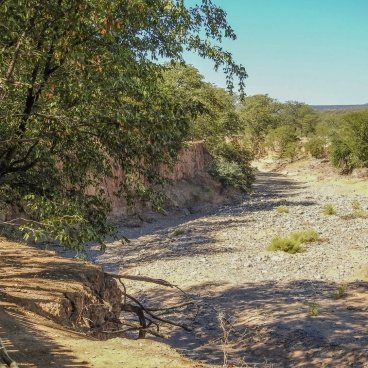 Kaoko Mopane Lodge & Campsite