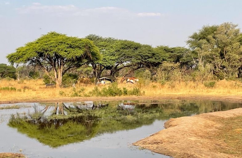 Silwane Camp Hwange