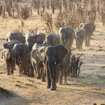 Hwange-Masuma-dam-4
