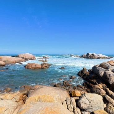 Cape Columbine Nature Reserve