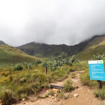 Swartboskloof Trail