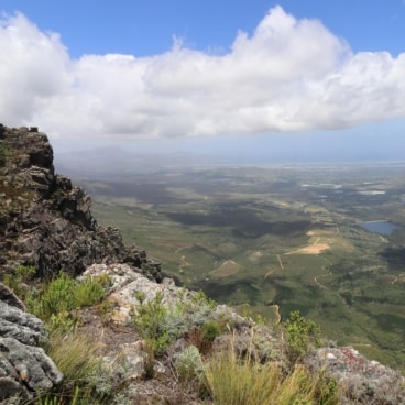 Jonkershoek Nature Reserve Cape Nature