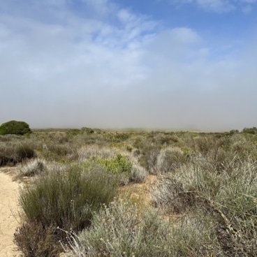 Rocher Pan Nature Reserve