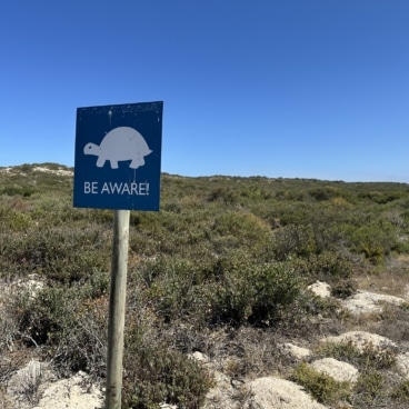 Rocherpan Cape Nature