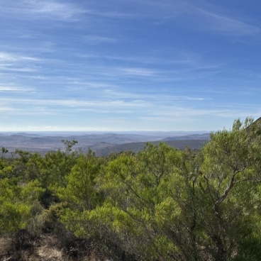 Skilpad Restcamp Namaqua National Park
