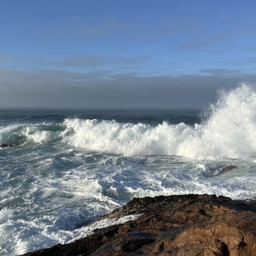 Namaqua National Park Coast Campsites