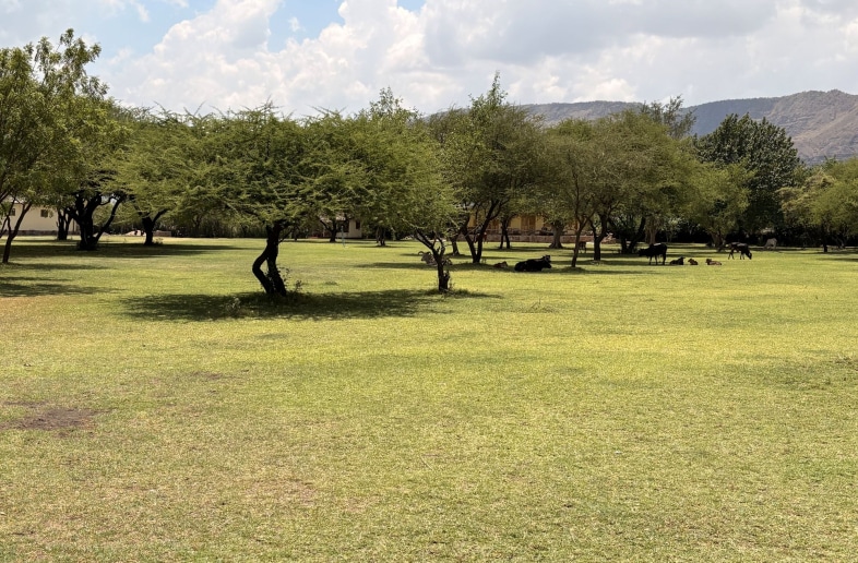 Maasai Giraffe Eco Lodge